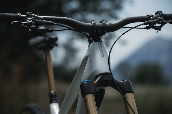 Cables internos sellados en Orbea Wild M-LTD 2023