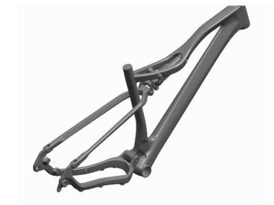 Mountain Bike Carbon Frame