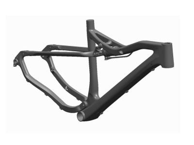 Mountain Bike Carbon Frame