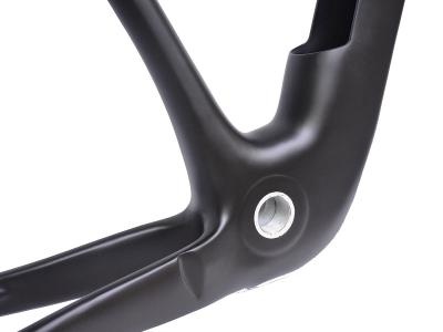 E Bike MTB Frameset