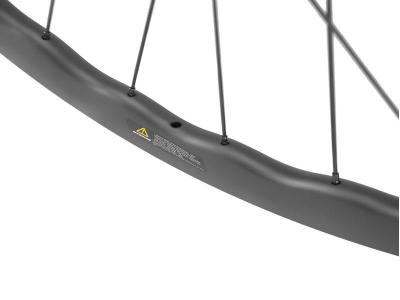 Carbon Wave Rim